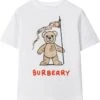 Burberry Kids Cedar Bear Flag T-Shirt (Toddler/Little Kid/Big Kid) | Shirts & Tops 1 Burberry Kids Cedar Bear Flag T-Shirt (Toddler/Little Kid/Big Kid) | Shirts & Tops -Daily Wear Shop 515XbsbYRIL. AC SR736920