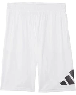 adidas Kids Essentials Big Logo Shorts (Big Kids) 7 adidas Kids Essentials Big Logo Shorts (Big Kids) -Daily Wear Shop 51VsXszGNL. AC SR736920