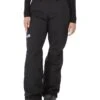 The North Face Freedom Insulated Pant | Outerwear Pants and Sets 1 The North Face Freedom Insulated Pant | Outerwear Pants and Sets -Daily Wear Shop 61HNKdU5TKL. AC SR736920