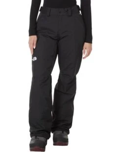 The North Face Freedom Insulated Pant | Outerwear Pants and Sets