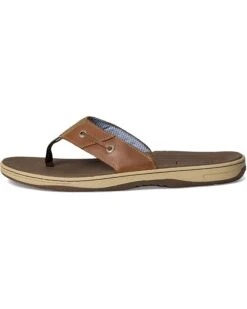 Sperry Baitfish | Sandals -Daily Wear Shop 61PVvQMfqEL. AC SR736920