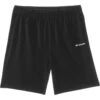 Columbia Kids Columbia Hike II Shorts (Little Kid/Big Kid) 2 Columbia Kids Columbia Hike II Shorts (Little Kid/Big Kid) -Daily Wear Shop 61Xy7YHehHL. AC SR736920