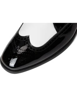 Stacy Adams Dayton II Wing Tip Lace-Up | Oxfords -Daily Wear Shop 61abpcxIa9L. AC SR736920