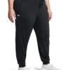 Under Armour Plus Size Armour Heat Gear Pants 2 Under Armour Plus Size Armour Heat Gear Pants -Daily Wear Shop 61auMcF1JaL. AC SR736920