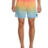 Hurley Cannonball Volley 17'' | Shorts -Daily Wear Shop 61fXDlGz5UL. AC SR736920