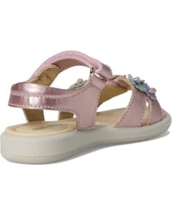 Naturino Brahma (Toddler/Little Kid) | Sandals -Daily Wear Shop 61iDuP8gfNL. AC SR736920