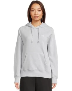 The North Face Evolution Hoodie | Hoodies & Sweatshirts