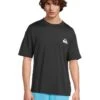 Quiksilver Everyday Surf Tee Shorts Sleeve Surf Tee | Swimwear -Daily Wear Shop 61wT5GZyrhL. AC SR736920