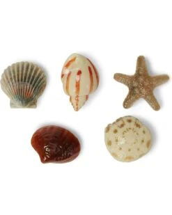 Crocs Jibbitz Around The World | Shoe Laces and Accents -Daily Wear Shop 710RDf4S2RL. AC SR736920