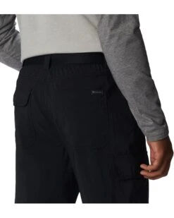 Columbia Big & Tall Silver Ridge™ Utility Pants -Daily Wear Shop 714h2xtB63L. AC SR736920