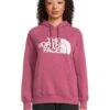The North Face Half Dome Pullover Hoodie | Hoodies & Sweatshirts -Daily Wear Shop 715cSKrOqvL. AC SR736920