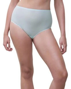 Chantelle Soft Stretch Brief | Underwear & Intimates -Daily Wear Shop 716 9fVbZL. AC SR736920