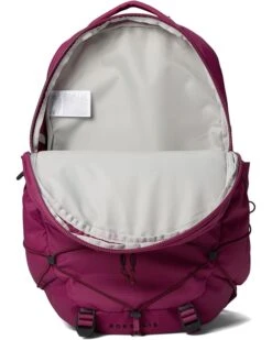 The North Face Borealis | Backpacks -Daily Wear Shop 719HwJG3VEL. AC SR736920