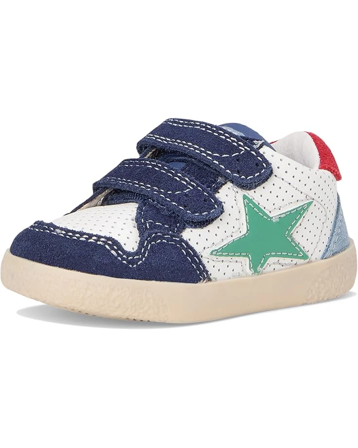 Naturino Falcotto Alnoite Low 2 VL (Toddller) | Sneakers & Athletic Shoes 9 Naturino Falcotto Alnoite Low 2 VL (Toddller) | Sneakers & Athletic Shoes - Image 7