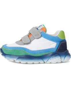 Naturino Falcotto Amantea 2 VL (Toddler/Litte Kid) | Sneakers & Athletic Shoes -Daily Wear Shop 71I VNUsDqL. AC SR736920