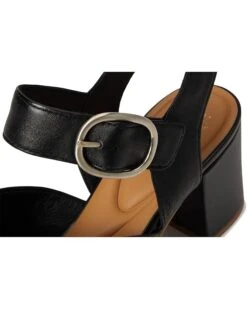 Sofft Lizzie | Heels 17 Sofft Lizzie | Heels -Daily Wear Shop 71ITzCm27AL. AC SR736920