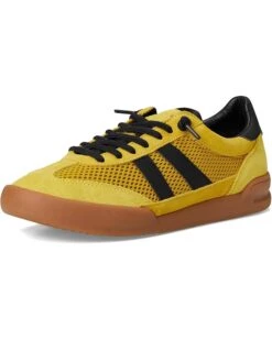 Steve Madden Verdict | Sneakers & Athletic Shoes -Daily Wear Shop 71bIXSnJgL. AC SR736920