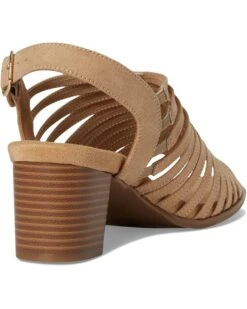 Trotters Midge | Heels -Daily Wear Shop 71eGU1niS1L. AC SR736920