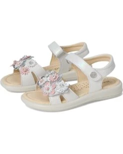 Naturino Brahma (Toddler/Little Kid) | Sandals -Daily Wear Shop 71ki8mKLwhL. AC SR736920