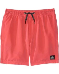 Quiksilver Kids Everyday Volley (Big Kids) | Shorts -Daily Wear Shop 71oO6LZHwcL. AC SR736920