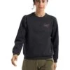 Arc'teryx Aestas Crew | Hoodies & Sweatshirts -Daily Wear Shop 71qLidiF9rL. AC SR736920