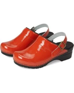 Sanita Estelle | Clogs -Daily Wear Shop 71tZ4WrmMAL. AC SR736920