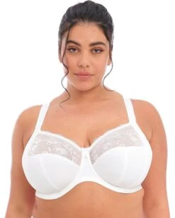 elomi Morgan Stretch Banded Underwire Bra | Underwear & Intimates -Daily Wear Shop 81FRxUulMpL. AC SR736920