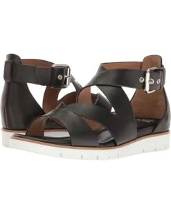 Sofft Mirabelle | Sandals -Daily Wear Shop 81LtRyn4RL. AC SR736920