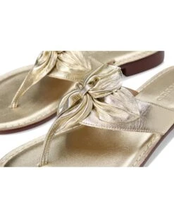 Bernardo Taormina | Heels -Daily Wear Shop 81REIzPxorL. AC SR736920