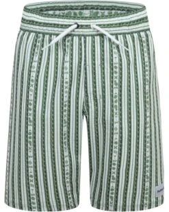 Hurley Kids Mini Vacay Stripe Pull On Swim Trunk (Little Kid) | Swimwear 7 Hurley Kids Mini Vacay Stripe Pull On Swim Trunk (Little Kid) | Swimwear -Daily Wear Shop 81qIL26IZVL. AC SR736920 1