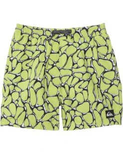 Quiksilver Kids Everyday Mercury Volley (Big Kids) | Shorts