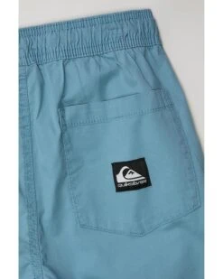 Quiksilver Kids Taxer Short (Big Kids) | Shorts 5 Quiksilver Kids Taxer Short (Big Kids) | Shorts -Daily Wear Shop 91A4C8RMZHL. AC SR736920